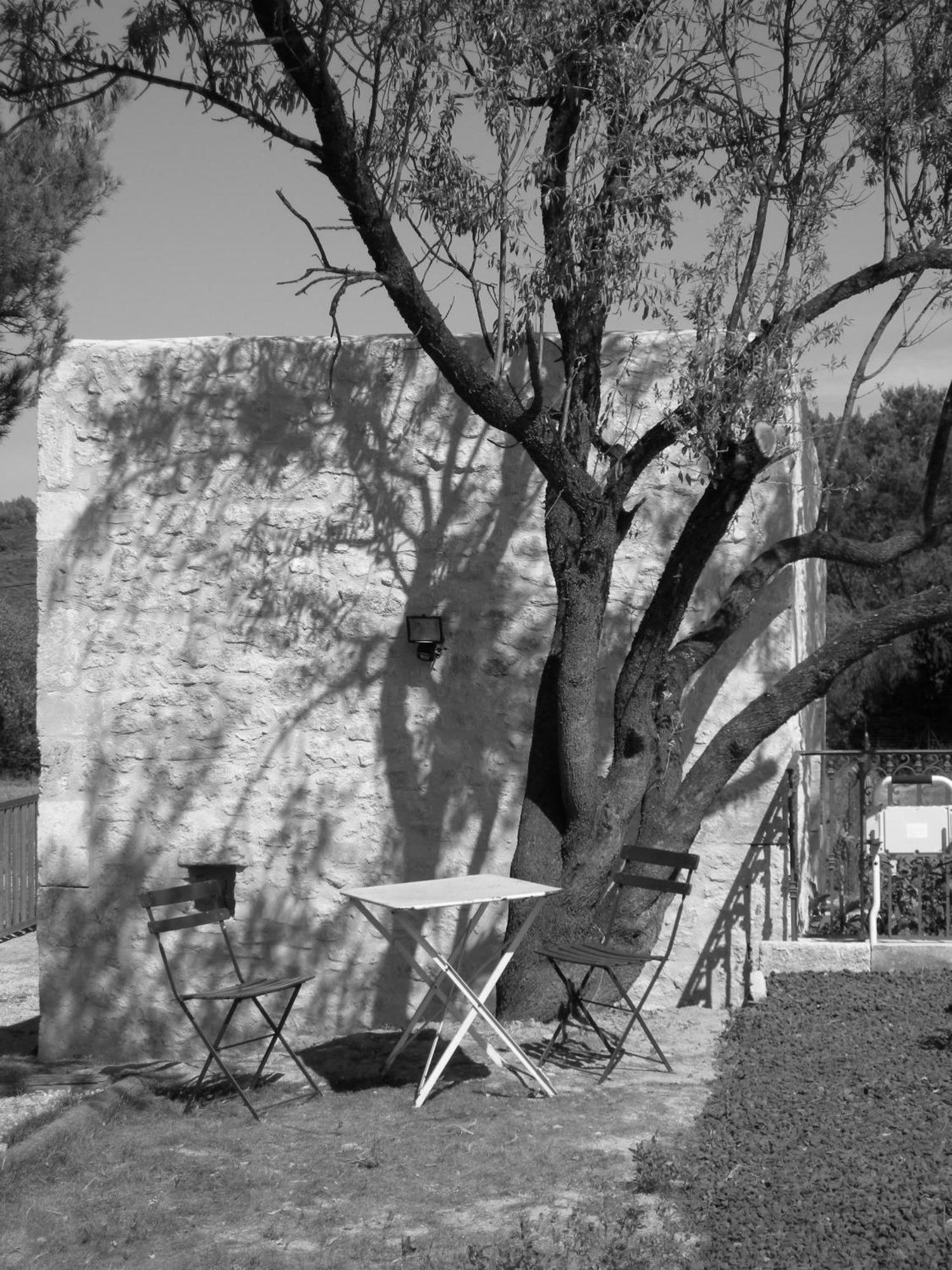 Le Mazet De La Dame Bed & Breakfast Barbentane Luaran gambar